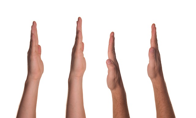 El Voto Programático